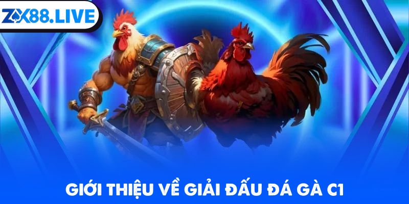 Giới thiệu thông tin sơ lược giải đấu đá gà C1